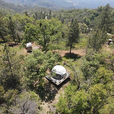 Enchanted Forest Dome ,10-15 Minutes To Kings Canyons-New Pellet Stove For Cozy Warm Nights Dunlap Eksteriør billede