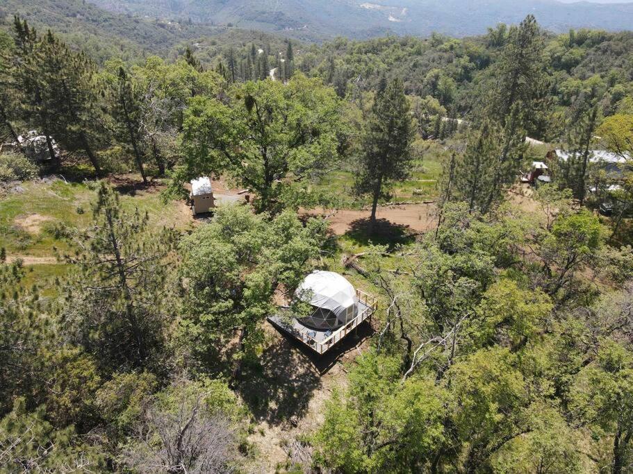 Enchanted Forest Dome ,10-15 Minutes To Kings Canyons-New Pellet Stove For Cozy Warm Nights Dunlap Eksteriør billede